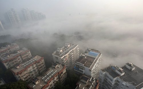 p1.jpg